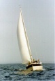 Adagio-front .JPG