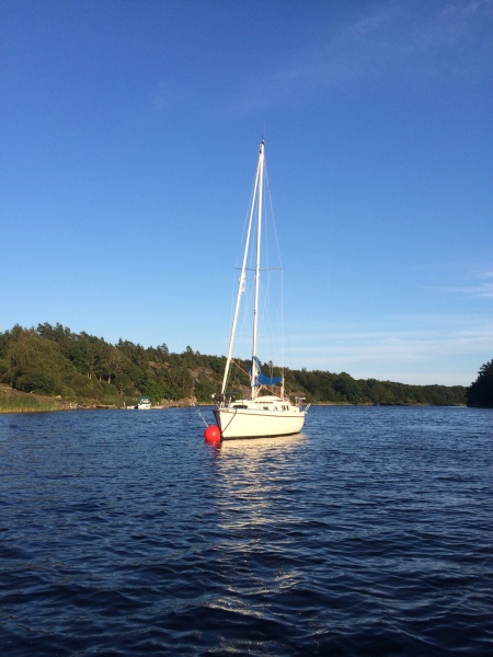 File:Ivalu@edstorp.jpg