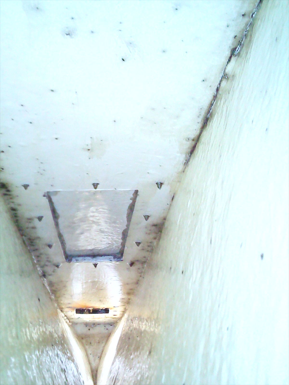 201204221546001.jpg